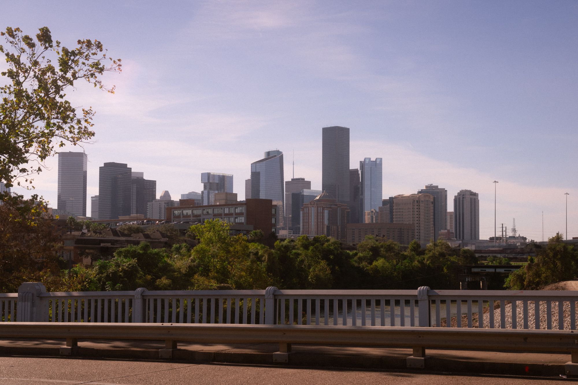 Downtown Houston skyline beyond trees on a clear day